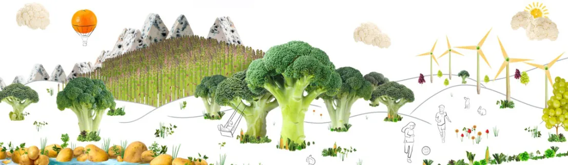 Een landschap van groenten beeld de CO2 abities van Marley Spoon uit