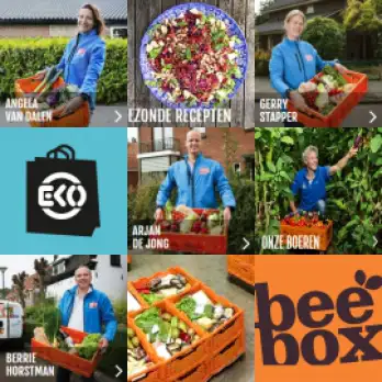 Collage van beebox foto's